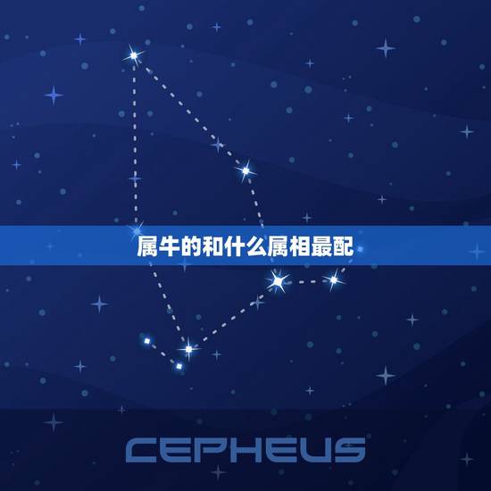 属牛的和什么属相最配，相克，属牛和什么属相相冲