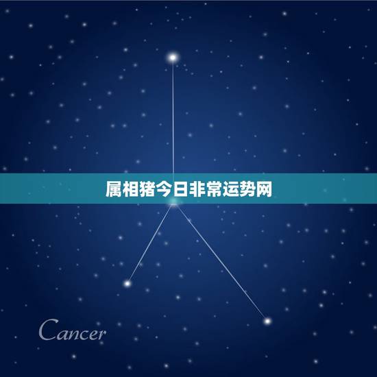 属相猪今日非常运势网，属猪和什么属相最配 非常运势星座网
