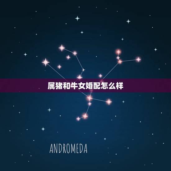 属猪和牛女婚配怎么样,男属猪女属牛相配好吗 属猪和牛女婚配怎么样,男属猪女属牛相配好吗