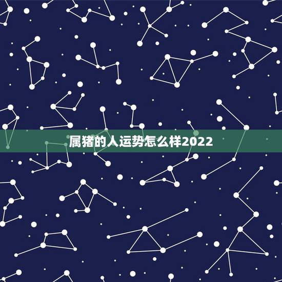 属猪的人运势怎么样2022，95年属猪的属相婚配表