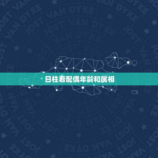日柱看配偶年龄和属相,八字如何看配偶生肖? 日柱看配偶年龄和属相,八字如何看配偶生肖?