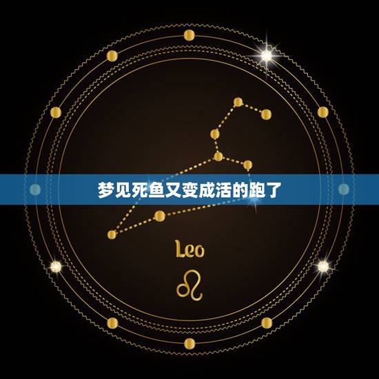 梦见死鱼又变成活的跑了，梦到死鱼变活什么意思！