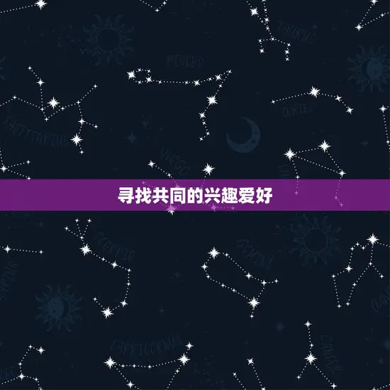 寻找共同的兴趣爱好