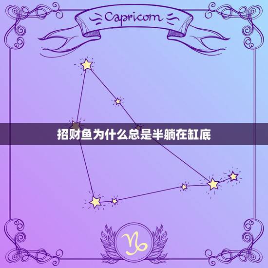 招财鱼为什么总是半躺在缸底，招财鱼偏躺在水底不动喂食还吃怎么回事