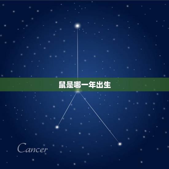 鼠是哪一年出生，属鼠的人哪一年出生
