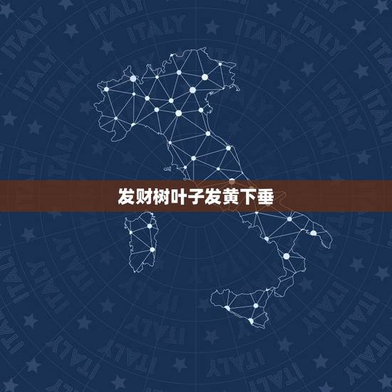 发财树叶子发黄下垂,发财树叶子下垂是怎么回事 发财树叶子发黄下垂,发财树叶子下垂是怎么回事