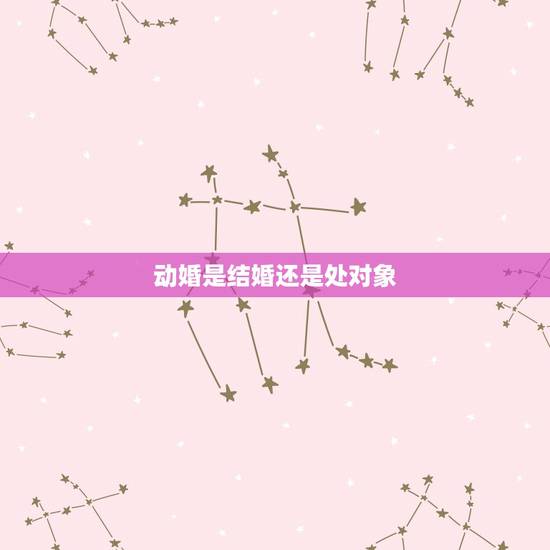 动婚是结婚还是处对象，动婚是指结婚吗