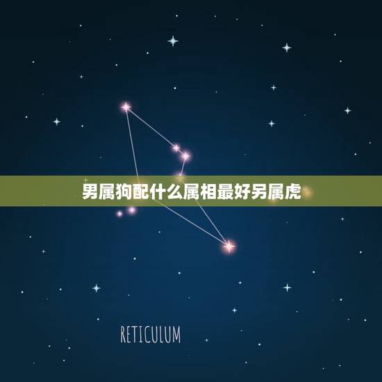 男属狗配什么属相最好另属虎,男属狗的和什么属相最配 男属狗配什么属相最好另属虎,男属狗的和什么属相最配