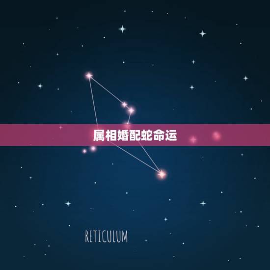属相婚配蛇命运,蛇与蛇的属相相配吗? 属相婚配蛇命运,蛇与蛇的属相相配吗?