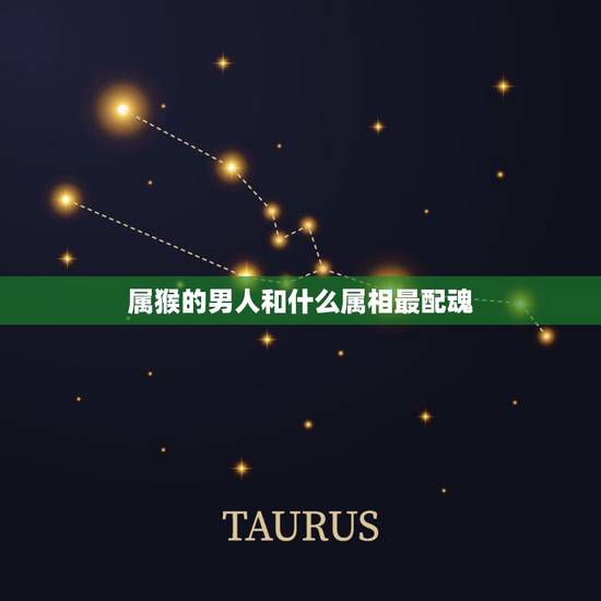 属猴的男人和什么属相最配魂,男猴与什么属相最配对 属猴的男人和什么属相最配魂,男猴与什么属相最配对