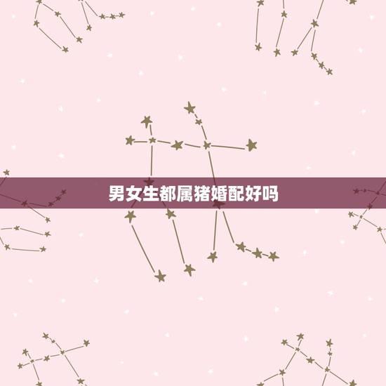 男女生都属猪婚配好吗，属相婚配：男属猪和女属猪相配吗？