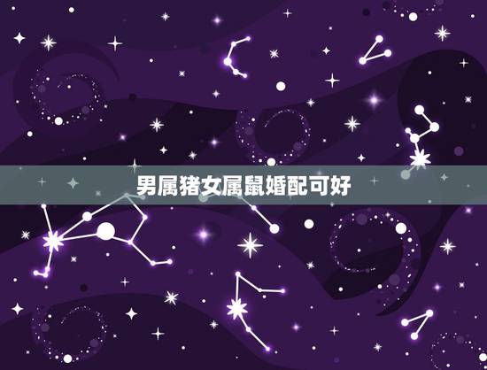 男属猪女属鼠婚配可好，男属猪和女属鼠相配吗