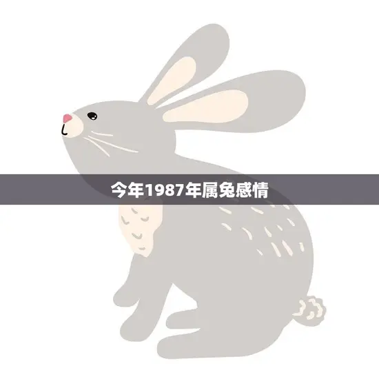 今年1987年属兔感情(如何化解矛盾迎来幸福) 今年1987年属兔感情(如何化解矛盾迎来幸福)