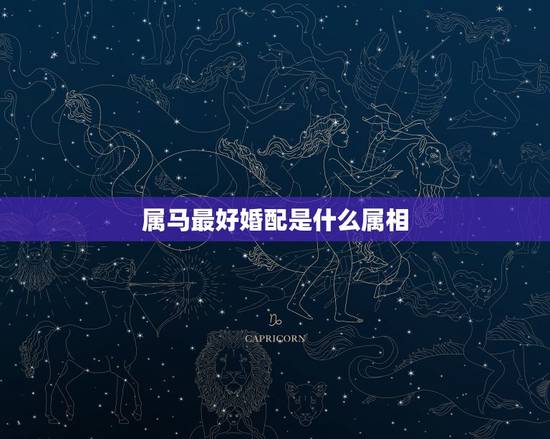 属马最好婚配是什么属相,属马的和什么属相最相配 12属相婚配表 属马最好婚配是什么属相,属马的和什么属相最相配 12属相婚配表