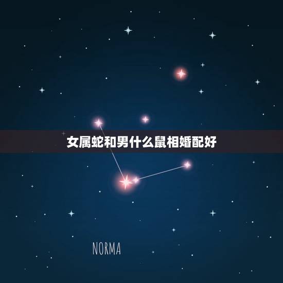 女属蛇和男什么鼠相婚配好，男的属蛇找什么属相的女的属相合适呀