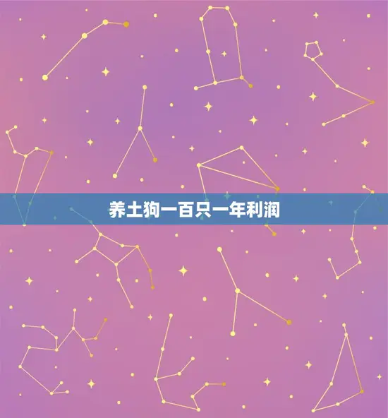 养土狗一百只一年利润