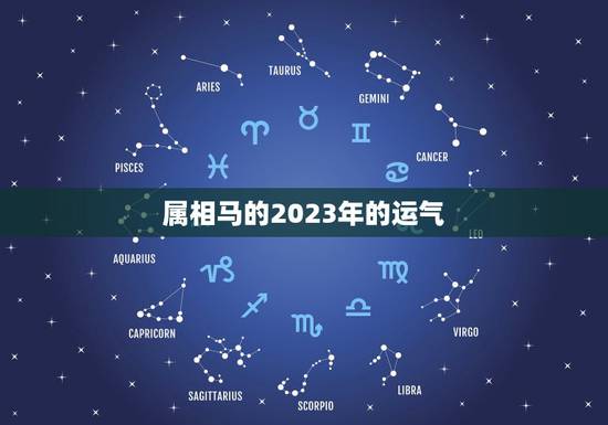 属相马的2023年的运气，2023年是什么生肖年