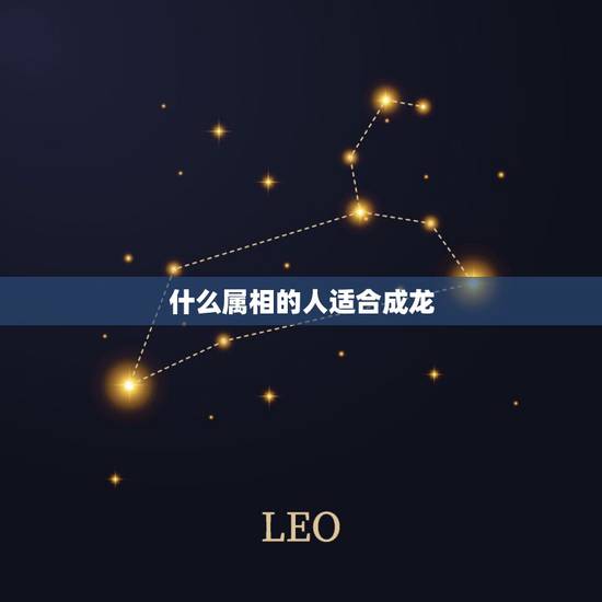 什么属相的人适合成龙，腾空难成龙是什么生肖