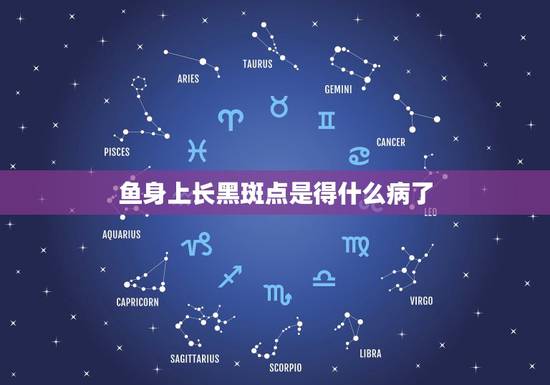 鱼身上长黑斑点是得什么病了,包头鱼身上长黑斑是怎么回事? 鱼身上长黑斑点是得什么病了,包头鱼身上长黑斑是怎么回事?