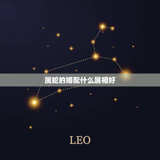 属蛇的婚配什么属相好,属蛇的和什么属相最配,属蛇的配什么生肖最好 属蛇的婚配什么属相好,属蛇的和什么属相最配,属蛇的配什么生肖最好