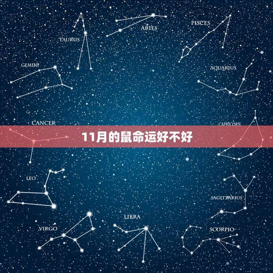 11月的鼠命运好不好,2018年里面的鼠月,牛月,虎月,兔月,龙月,蛇 11月的鼠命运好不好,2018年里面的鼠月,牛月,虎月,兔月,龙月,蛇