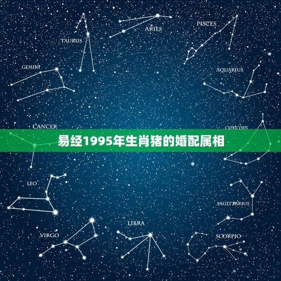 易经1995年生肖猪的婚配属相，95年属猪的最佳婚配