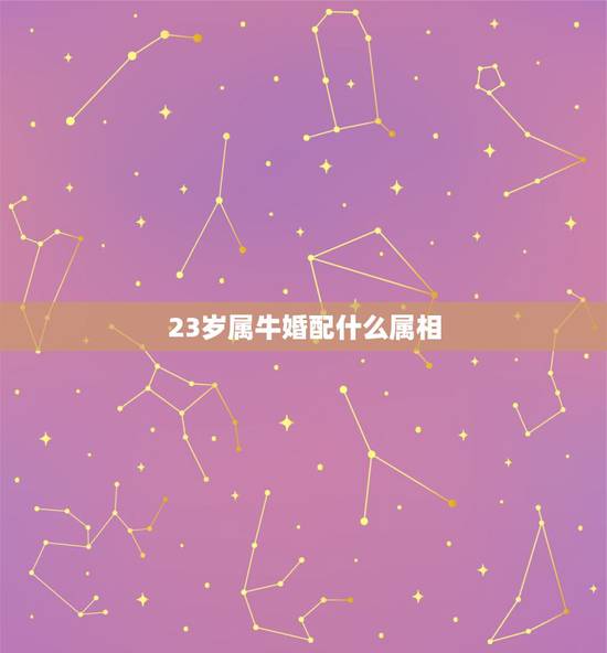 23岁属牛婚配什么属相,属牛和什么属相最配 23岁属牛婚配什么属相,属牛和什么属相最配