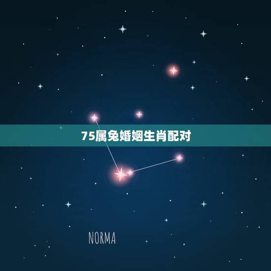 75属兔婚姻生肖配对,1975年属兔和1976年属龙的婚配会怎样 75属兔婚姻生肖配对,1975年属兔和1976年属龙的婚配会怎样