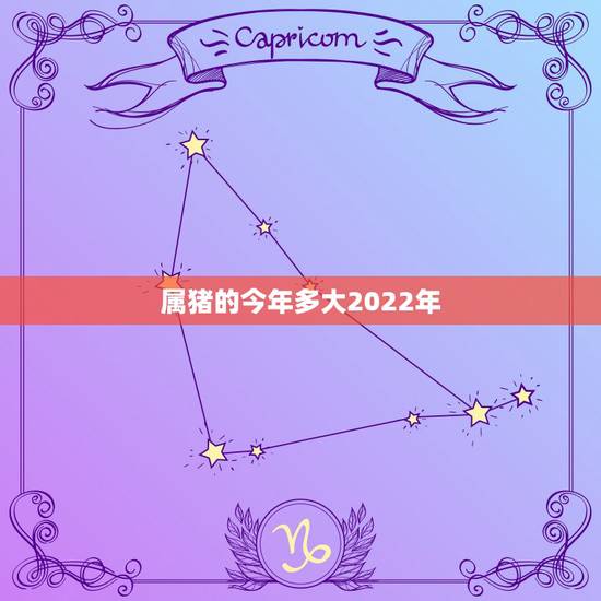 属猪的今年多大2022年,属兔的今年多大 属猪的今年多大2022年,属兔的今年多大