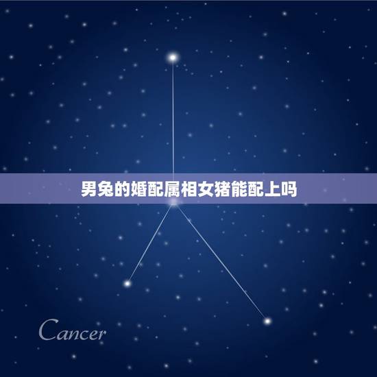 男兔的婚配属相女猪能配上吗，属相婚配：男属兔和女属鸡相配吗