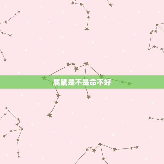 属鼠是不是命不好,属鼠的是四贵克子孙吗 属鼠是不是命不好,属鼠的是四贵克子孙吗