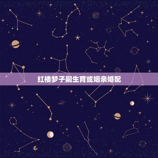 红楼梦子嗣生育或姻亲婚配，子嗣的出处与详解