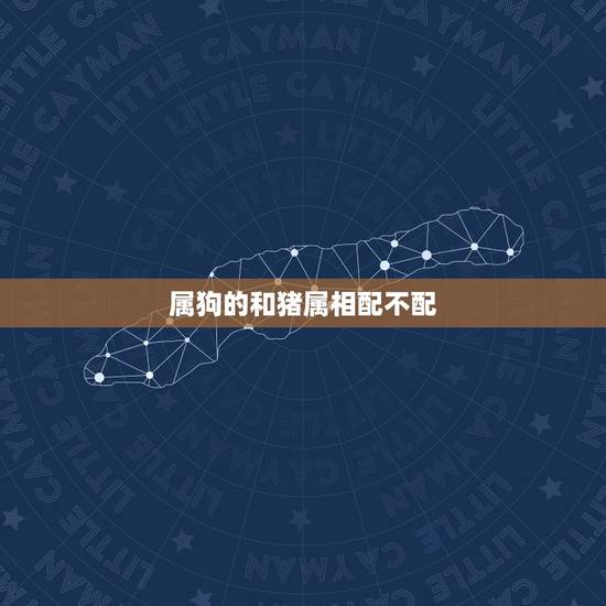 属狗的和猪属相配不配,属狗和属猪的相配吗? 属狗的和猪属相配不配,属狗和属猪的相配吗?