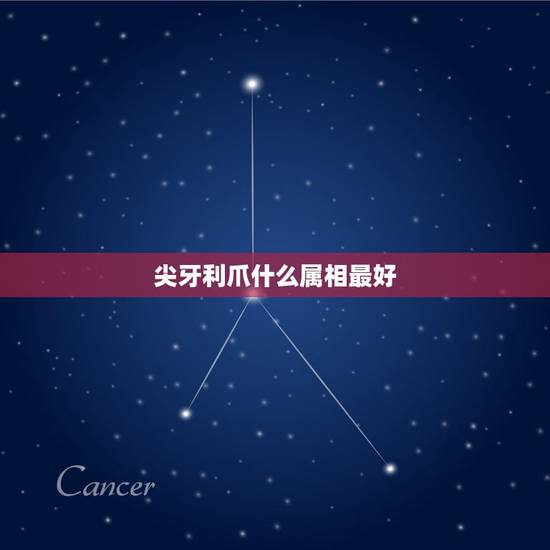 尖牙利爪什么属相最好，尖牙利爪的动物在十二生肖请问有那些？给个准确的答