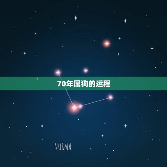 70年属狗的运程,1970属狗每月运程 70年属狗的运程,1970属狗每月运程