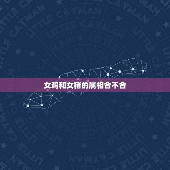 女鸡和女猪的属相合不合,男属猪的个女属鸡的合不合 女鸡和女猪的属相合不合,男属猪的个女属鸡的合不合