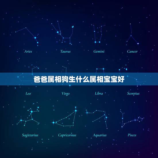 爸爸属相狗生什么属相宝宝好，属狗的生什么属相的孩子好