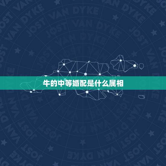 牛的中等婚配是什么属相，牛与什么生肖最配
