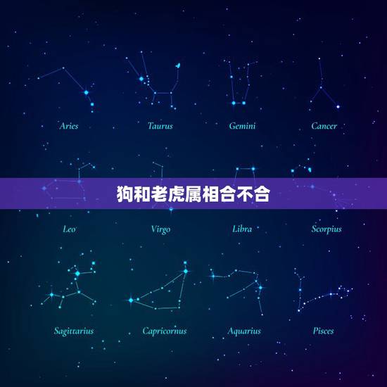 狗和老虎属相合不合,属狗的和属虎的结婚属相相配吗? 狗和老虎属相合不合,属狗的和属虎的结婚属相相配吗?