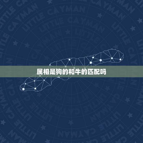属相是狗的和牛的匹配吗，牛狗属相配吗？内有详细资料，懂命理的朋友请赐教