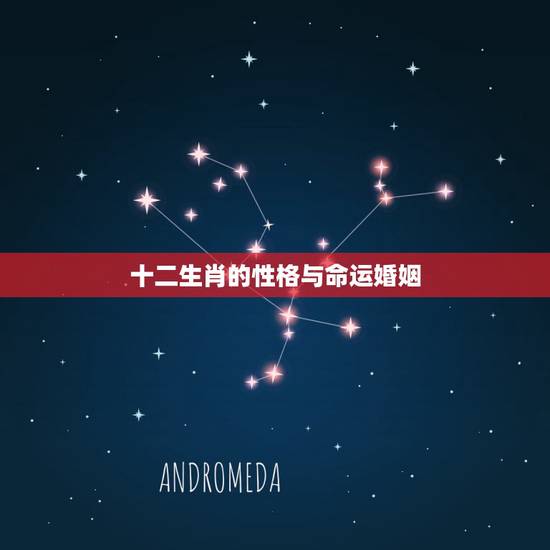十二生肖的性格与命运婚姻,十二生肖的属性与性格 十二生肖的性格与命运婚姻,十二生肖的属性与性格