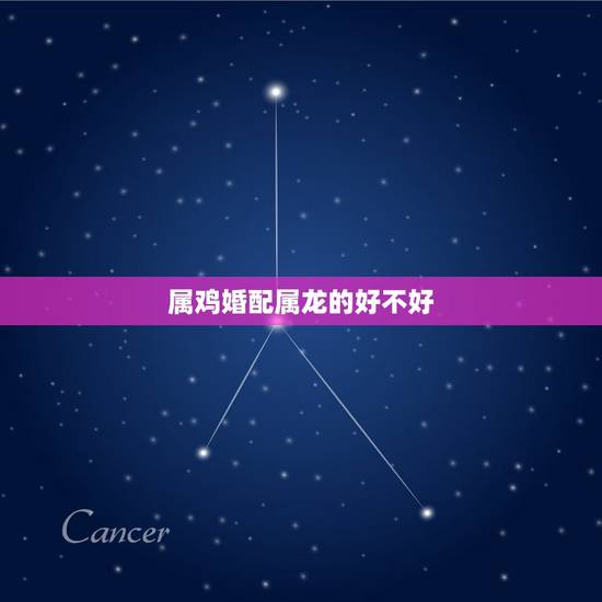 属鸡婚配属龙的好不好,属鸡男婚配属龙女可以吗 属鸡婚配属龙的好不好,属鸡男婚配属龙女可以吗