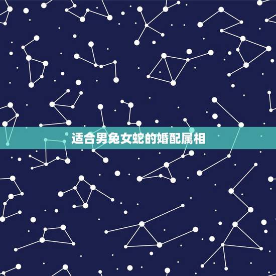 适合男兔女蛇的婚配属相，属相婚配蛇和兔