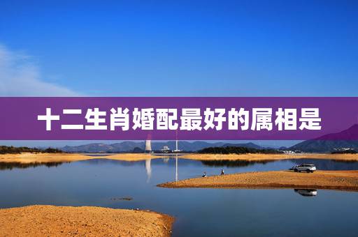 十二生肖婚配最好的属相是,龙与什么生肖配对是最好? 十二生肖婚配最好的属相是,龙与什么生肖配对是最好?