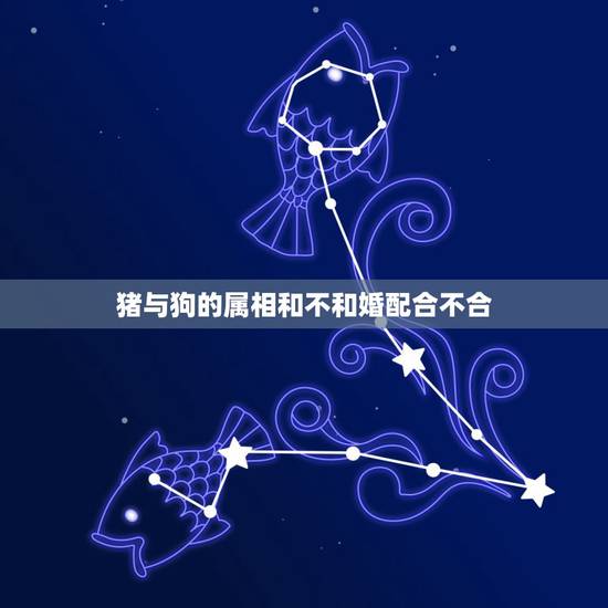 猪与狗的属相和不和婚配合不合,狗和猪相配婚姻如何 猪与狗的属相和不和婚配合不合,狗和猪相配婚姻如何