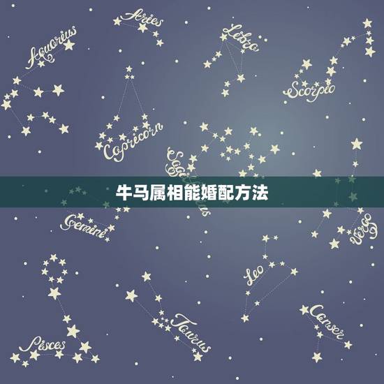 牛马属相能婚配方法，牛马属相的人结合怎样
