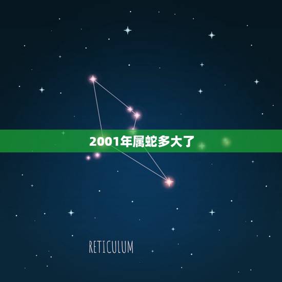 2001年属蛇多大了,2001年属蛇人的学业 2001年属蛇多大了,2001年属蛇人的学业