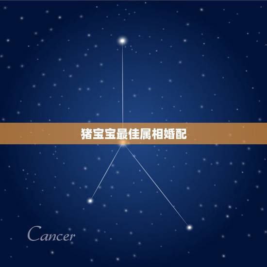猪宝宝最佳属相婚配,生肖猪跟什么最配,属猪的属相婚配表 猪宝宝最佳属相婚配,生肖猪跟什么最配,属猪的属相婚配表