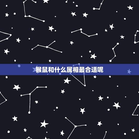 猴鼠和什么属相最合适呢，属鼠的派什么属相好