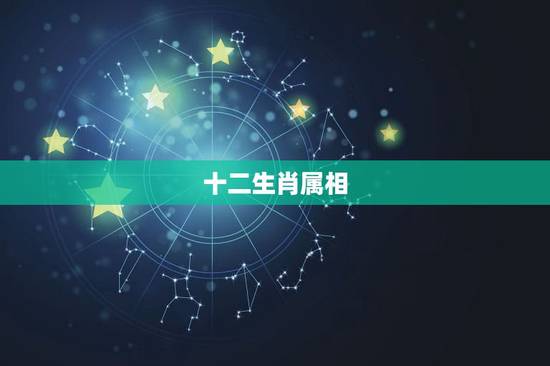 十二生肖属相，生肖相冲表